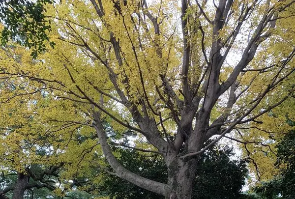 石垣山一夜城歴史公園の写真・動画_image_330896