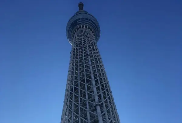 東京スカイツリーの写真・動画_image_330911