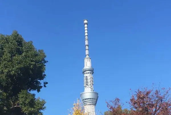 亀戸天神社の写真・動画_image_330912