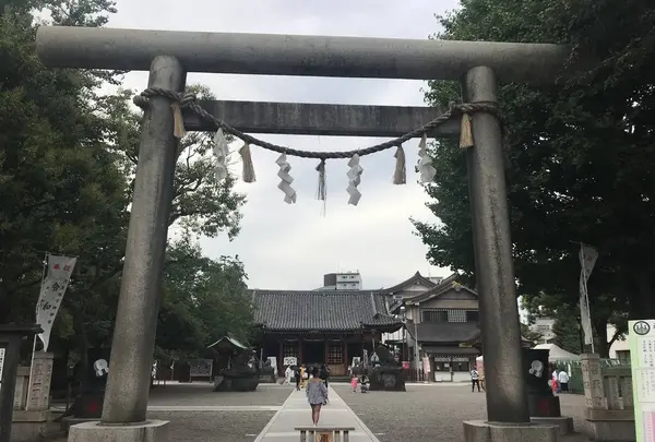 浅草神社（三社さま）の写真・動画_image_330919