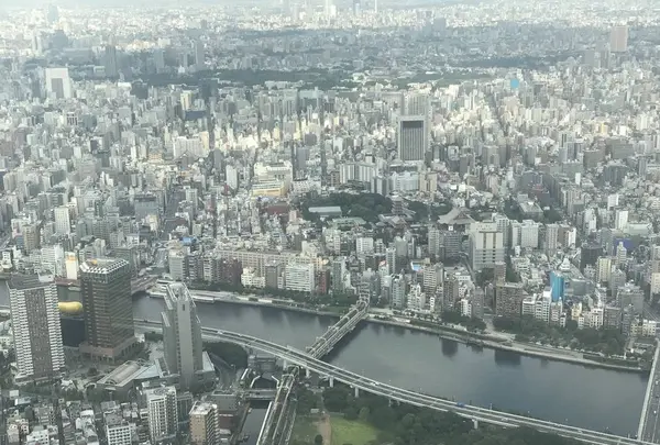 東京スカイツリーの写真・動画_image_330965