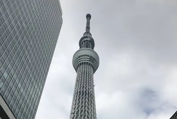 東京スカイツリーの写真・動画_image_330966