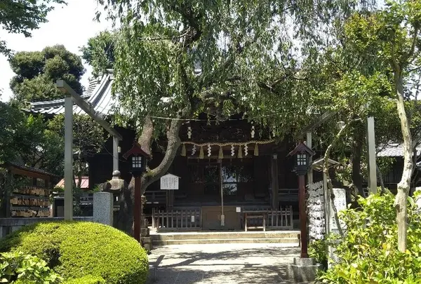 白山神社の写真・動画_image_330985