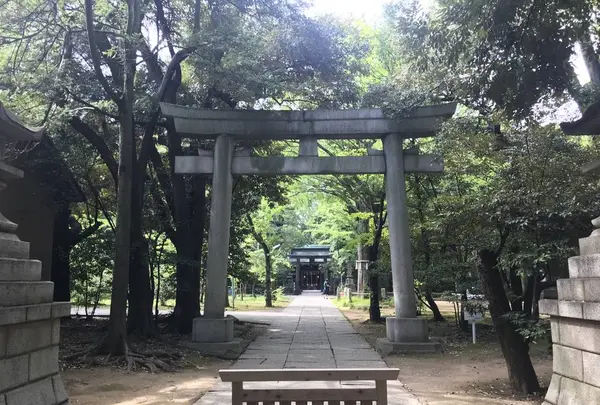 赤坂氷川神社の写真・動画_image_331000