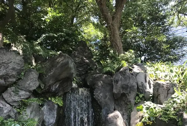 皇居東御苑の写真・動画_image_331025