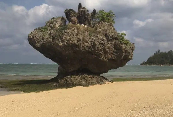 今帰仁村 シバンティーナの写真・動画_image_331041