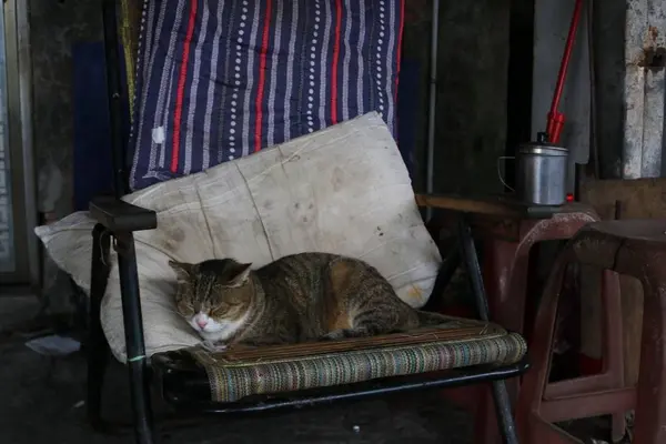 侯硐の写真・動画_image_331248