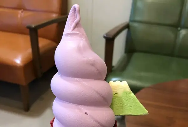 河口湖自然生活館の写真・動画_image_331254