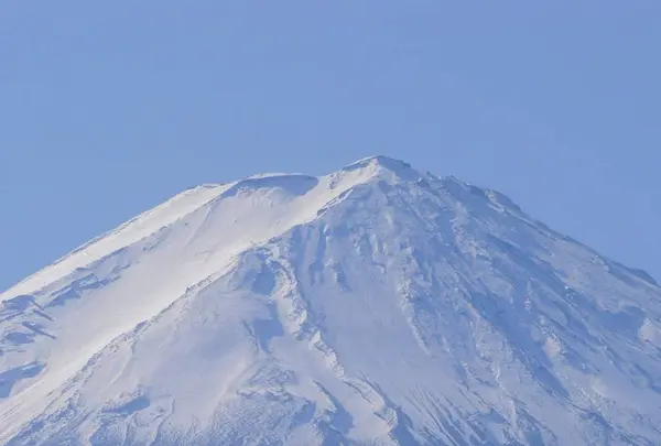 河口湖自然生活館の写真・動画_image_331259