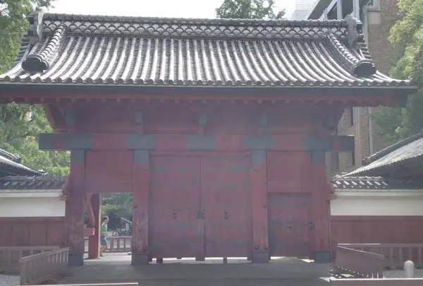 東京大学の写真・動画_image_331275