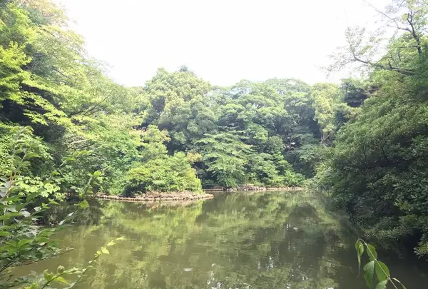 東京大学の写真・動画_image_331277