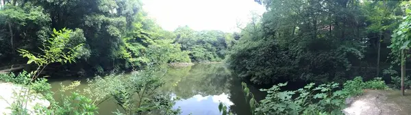 東京大学の写真・動画_image_331278