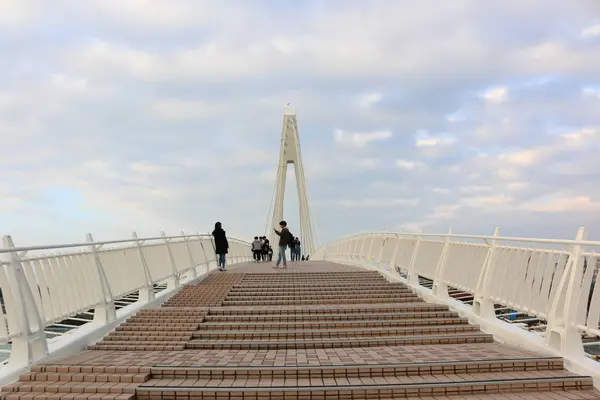 漁人碼頭（Tamshui Fisherman's Wharf）の写真・動画_image_331319
