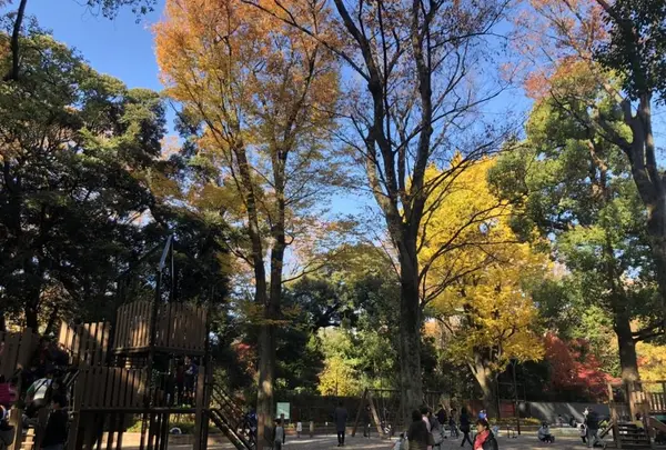 六義公園の写真・動画_image_331677