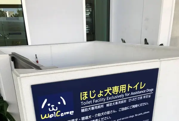 那覇空港の写真・動画_image_331732