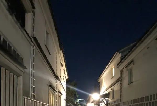 倉敷美観地区の写真・動画_image_331843