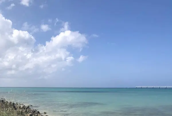 瀬長島ウミカジテラスの写真・動画_image_331994