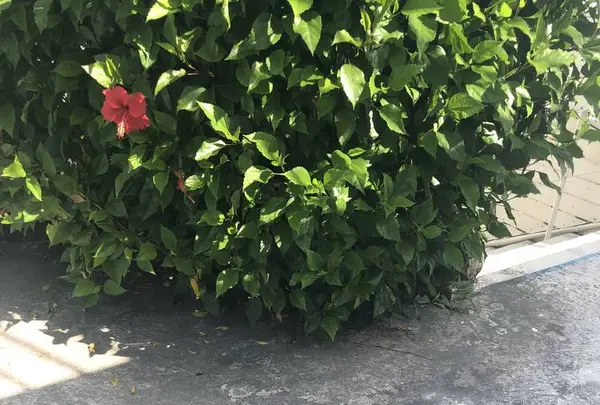 瀬長島ウミカジテラスの写真・動画_image_331997