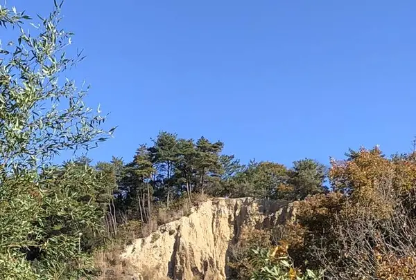 阿波の土柱の写真・動画_image_332040