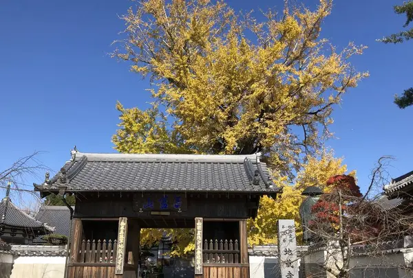 地蔵寺の写真・動画_image_332043