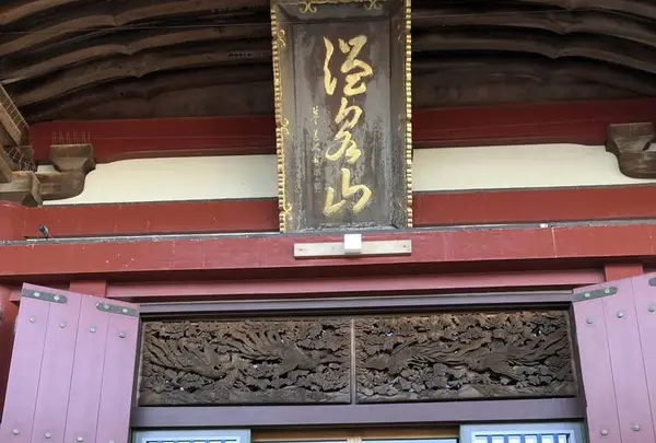 安楽寺の写真・動画_image_332046