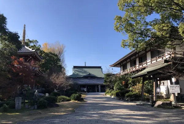 安楽寺の写真・動画_image_332048