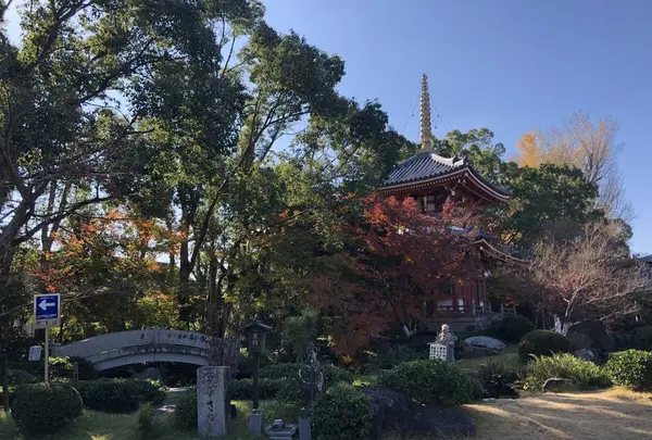 安楽寺の写真・動画_image_332049