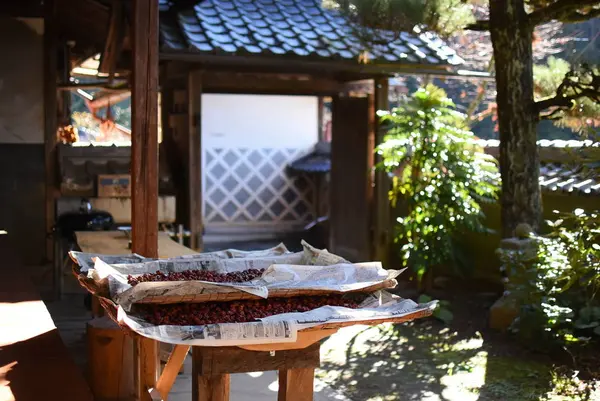 豊丘村ゲストハウス 井桁屋の写真・動画_image_332065