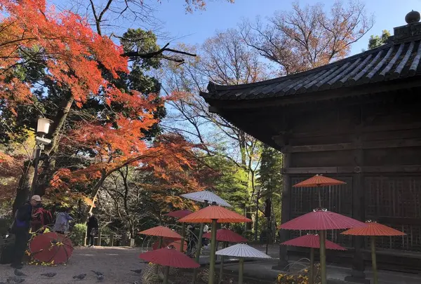 川越大師 喜多院の写真・動画_image_332285