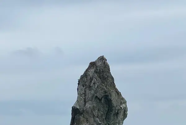 沼島の写真・動画_image_332292