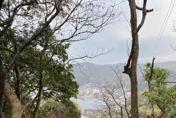 おのころ神社の写真・動画_image_332545