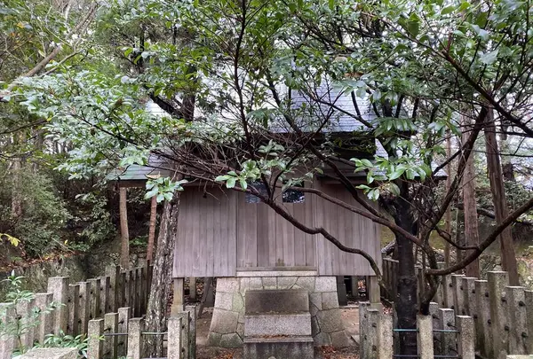 おのころ神社の写真・動画_image_332546