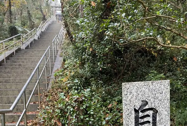 おのころ神社の写真・動画_image_332548