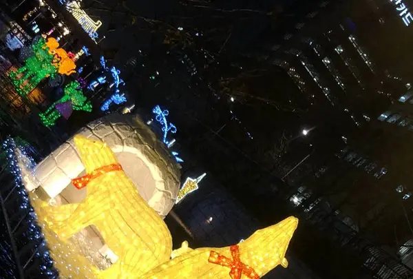 光化門広場/クァンファムンクァンジャン/광화문광장の写真・動画_image_332628