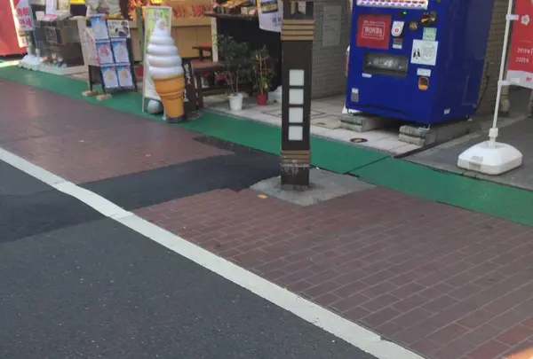 巣鴨地蔵通り商店街の写真・動画_image_332850