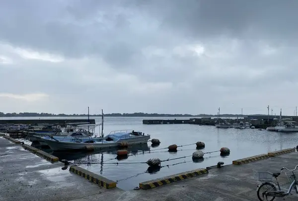 友ケ島水道の写真・動画_image_333374