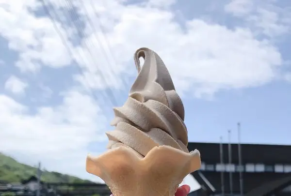 マルキン醤油記念館の写真・動画_image_333409