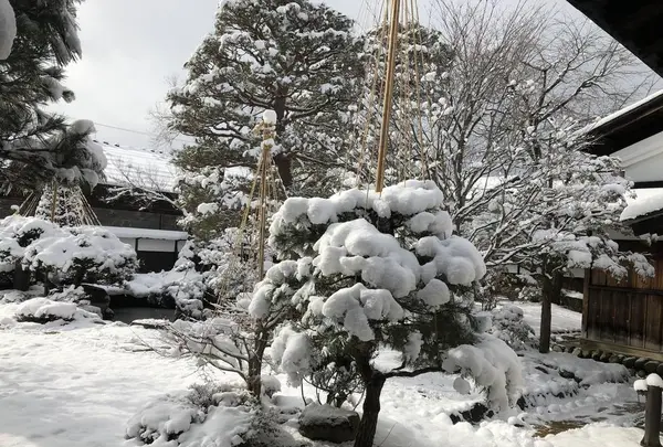 高山陣屋の写真・動画_image_333741
