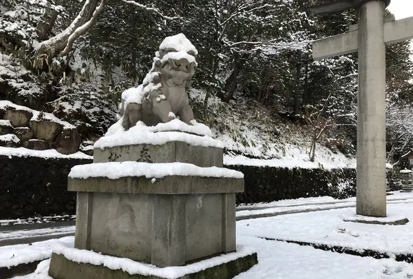 日枝神社の写真・動画_image_333744