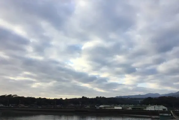 中華料理新中華の写真・動画_image_333775