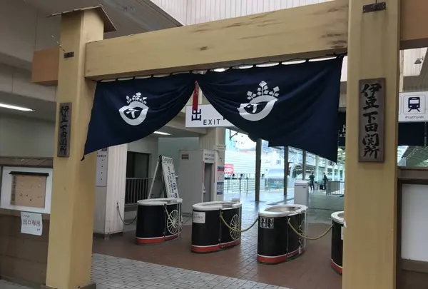 ペリーロードの写真・動画_image_333856