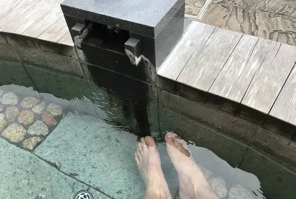 ペリーロードの写真・動画_image_333860