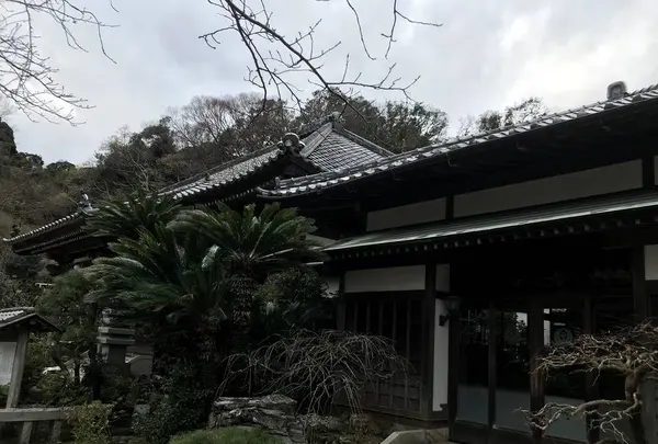 ペリーロードの写真・動画_image_333861