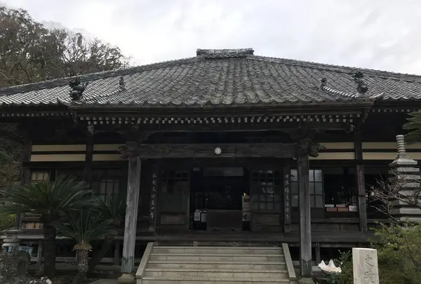 ペリーロードの写真・動画_image_333862