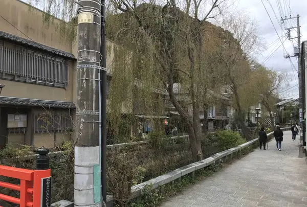 ペリーロードの写真・動画_image_333867