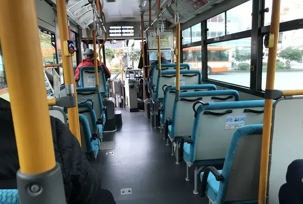 ペリーロードの写真・動画_image_333871