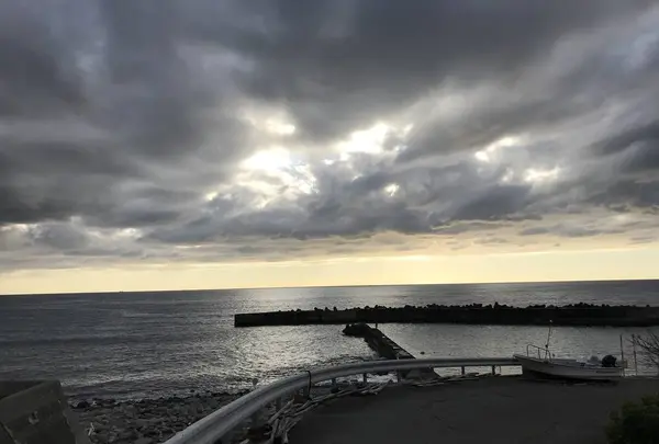 ペリーロードの写真・動画_image_333872