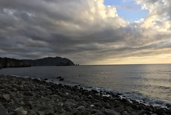 伊浜の写真・動画_image_333887