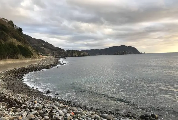 伊浜の写真・動画_image_333889