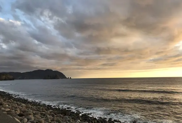 伊浜の写真・動画_image_333893